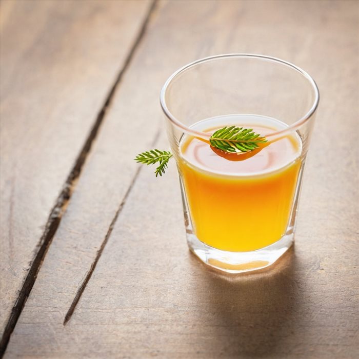 Moucherons dans la Maison : Causes et Solutions Efficaces